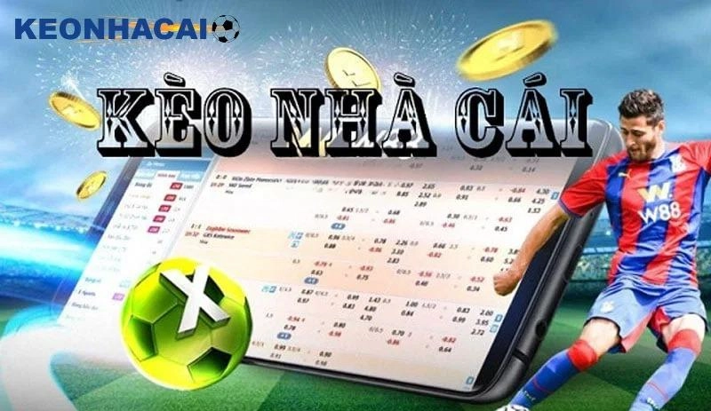Trang chủ kèo nhà cái